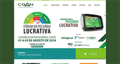 Desktop Screenshot of coanconsultoria.com.br
